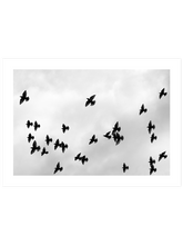 Like A Bird N3 - Art Print
